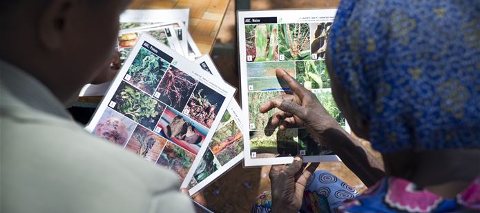 Providing access to knowledge